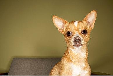 索尼开发实时服务型游戏并不意味着放弃单机游戏